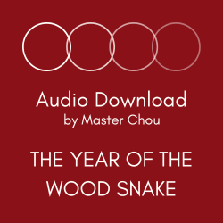 Wood Snake - audio